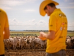 Pará e Mato Grosso recebem equipe do Rally da Pecuária