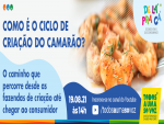De lá Pra Cá: primeiro episódio da série detalha o caminho da produção de camarão das fazendas de cultivo à mesa