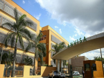 Anvisa libera venda de mais dois medicamentos à base de cannabis