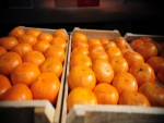 Oferta de tangerina poncã deve ser limitada, diz Cepea
