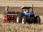 79% da área no Brasil está semeada na safra 2019/2020, diz AgRural