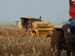 Colheita de soja chega a 59% da área no Brasil‏