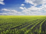 Mato Grosso vai integrar o Plano Agro+
