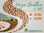 Aprosoja/MS alerta agricultores sobre o vazio sanitário que começa nesta segunda