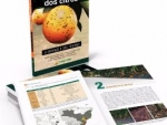 Fundecitrus lança livro sobre pinta preta