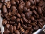 Especulações derrubam cotações do café