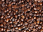 Café/Cepea: Arábica vem em queda desde fev; robusta segue firme