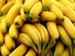 Banana produzida em Moçambique é comercializada na África do Sul