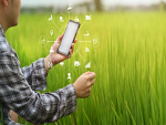 Transformação digital é fundamental para a maximização dos resultados do novo agro brasileiro
