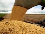 Indústrias de soja elevam previsão exportação do Brasil em 2017