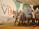 Leilão da Vida reúne 1,5 mil pessoas e arrecada dinheiro para hospital