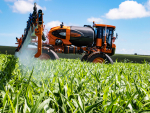 IBGE prevê safra agrícola recorde de 270,7 milhões de toneladas para 2022
