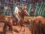 Credenciadoras ao Freio de Ouro registram alta participação