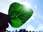 TO: Embaixador da África do Sul vem conhecer agronegócio
