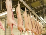 Exportações de carne suína cresceram 56,6% até abril