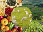 Produtos do agronegócio representaram 39% das exportações brasileiras entre janeiro e outubro de 2016