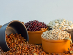 Oportunidade para o agronegócio brasileiro no comércio exterior, entenda