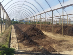 Compostagem inteligente acelera tratamento de resíduos orgânicos com respeito à natureza