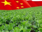 China quer ser potência na indústria de transgênicos