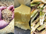 Plataforma digital Agro2business amplia comercialização de subprodutos do agronegócio