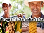 Cerca de 70 mil agricultores familiares da BA e do RN receberão pagamento do Garantia-Safra