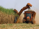 Produção agropecuária dobrou em duas décadas