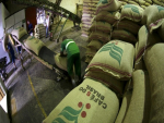 Exportação de café aumentou 22% em junho, para 3,046 milhões de sacas