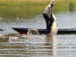 Mais de 31 mil licenças de pescador artesanal são canceladas