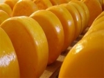 Epamig lança manual sobre fabricação de queijo Minas artesanal