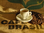 Minas deve produzir 50% do total de sacas de café da safra 2015/16