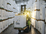 Nutrien expande atuação da Sementes Goiás no Brasil