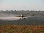 Uso de agrotóxicos no Brasil cresce mais de duas vezes e meia em dez anos