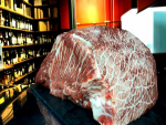Raça australiana é a mais nova opção para o mercado nacional de carne premium