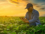 Grupo Siagri conta com Sky.One para apoiar clientes que desejam migrar ERP’s para a nuvem