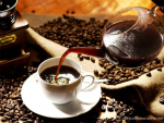 Concurso de qualidade de cafés especiais da BSCA abre inscrições