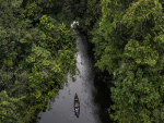 Brasil passa a fazer parte do Protocolo de Nagoia sobre biodiversidade