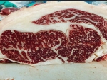 Wagyu: Carne mais valorizada do mundo será apresentada em evento da raça nesta semana