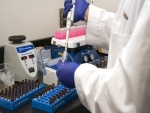 Ração animal: novas micotoxinas já podem ser identificadas em análises laboratoriais