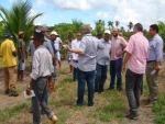 Embrapa realiza dia de campo para transferir tecnologia de coco e citros em Acajutiba