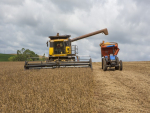 Aumento na produtividade fará Brasil ter safra de grãos 27% maior em 2030, diz estudo