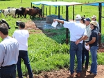 Produção leiteira é tema do dia de campo na Fazenda Cachoeira São Sebastião