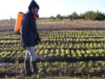 Políticas do MDA podem ajudar no combate ao uso de produtos químicos no campo