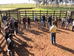 Curso de manejo racional de bovinos será oferecido de 14 a 16 de março, no Paraná