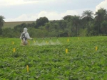 Fungicidas à base de cobre travam em barreiras regulatórias