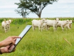 Especialistas discutem implicações da internet das coisas na agricultura