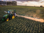 Um terço das propriedades agrícolas diz usar agrotóxicos na lavoura, aponta IBGE