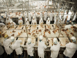 Indústria de carne dos EUA pede prioridade na vacinação contra covid-19