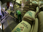 Exportação de café do Brasil cresceu 13,2% em fevereiro