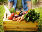 Índice de preços de alimentos da FAO sobe 3,9% e atinge nível mais alto em 6 anos
