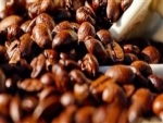 Produção dos Cafés do Brasil equivale a 36% da produção mundial em 2018